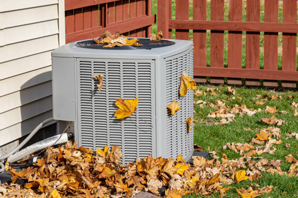 Best HVAC companies near me  in Colfax, IL